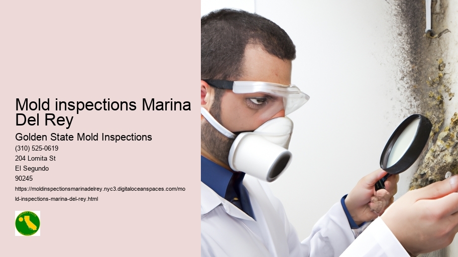 Mold inspections Marina Del Rey