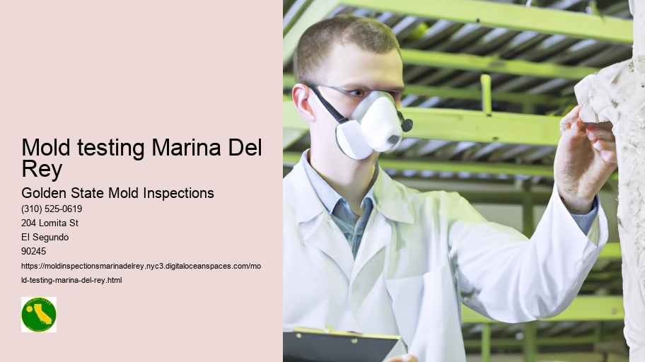 Mold testing Marina Del Rey